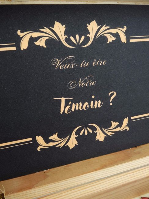 Veux-tu être Notre Témoin / Garçon d'honneur ? 3