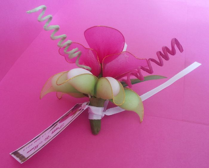 fleur de dragée orchidée