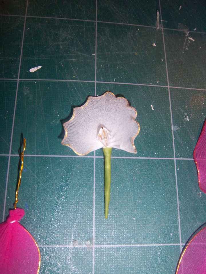 orchidee collant