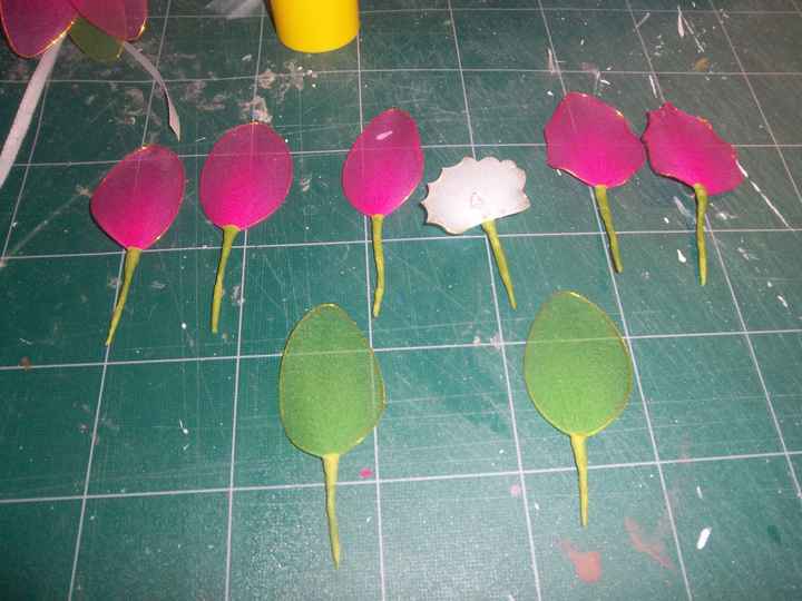 orchidee collant