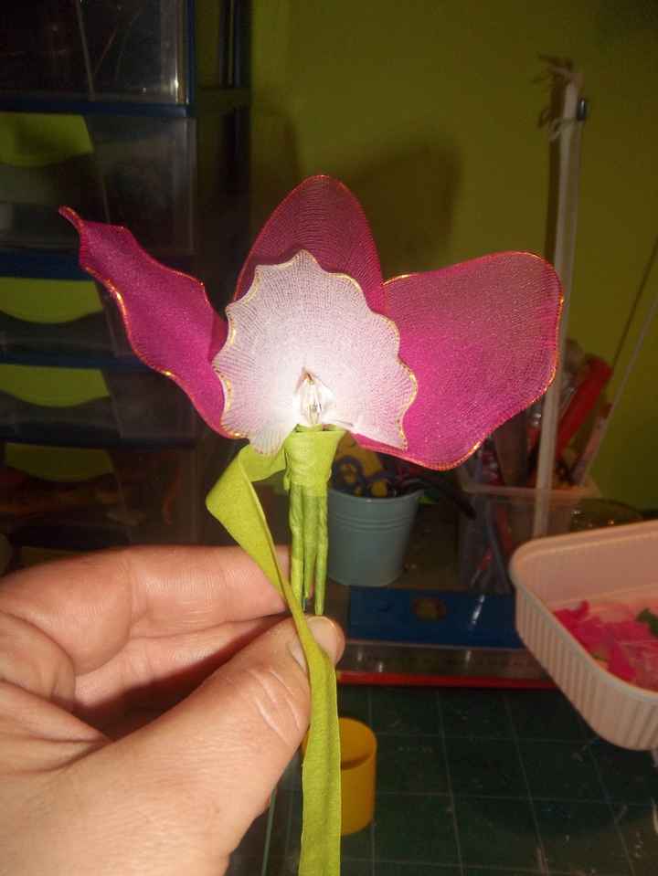 orchidee collant