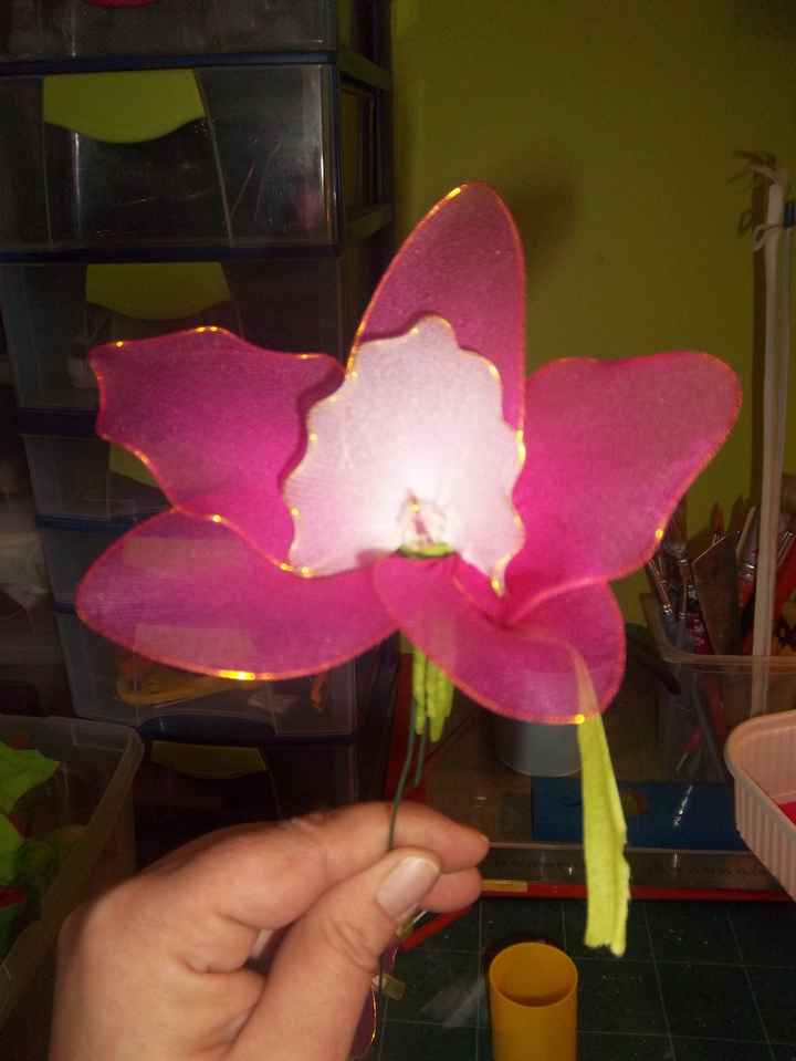 orchidee collant