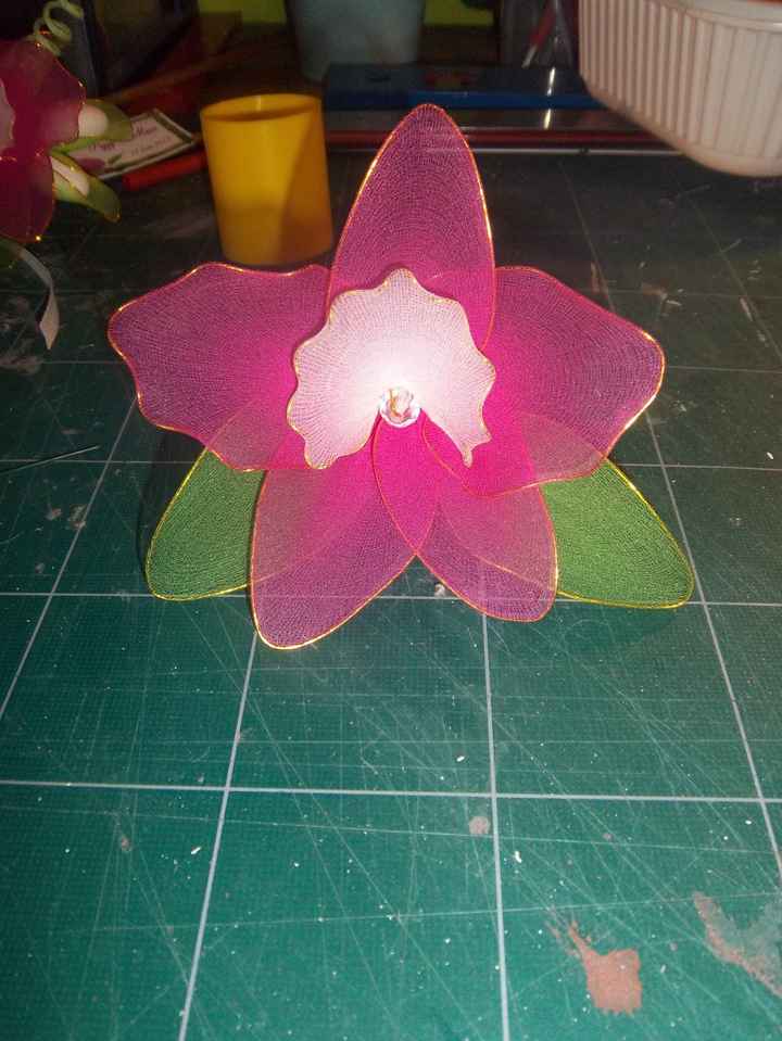 orchidee collant