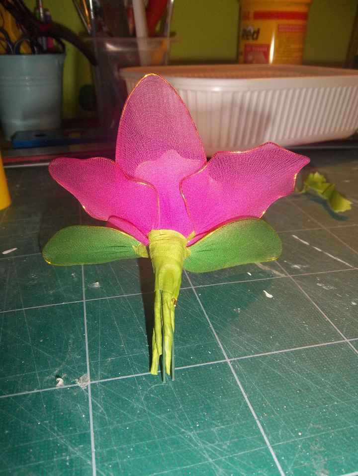 orchidee collant