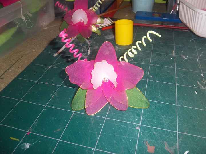 orchidee collant