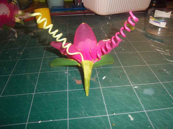 orchidee collant