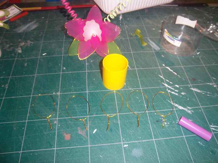orchidee collant