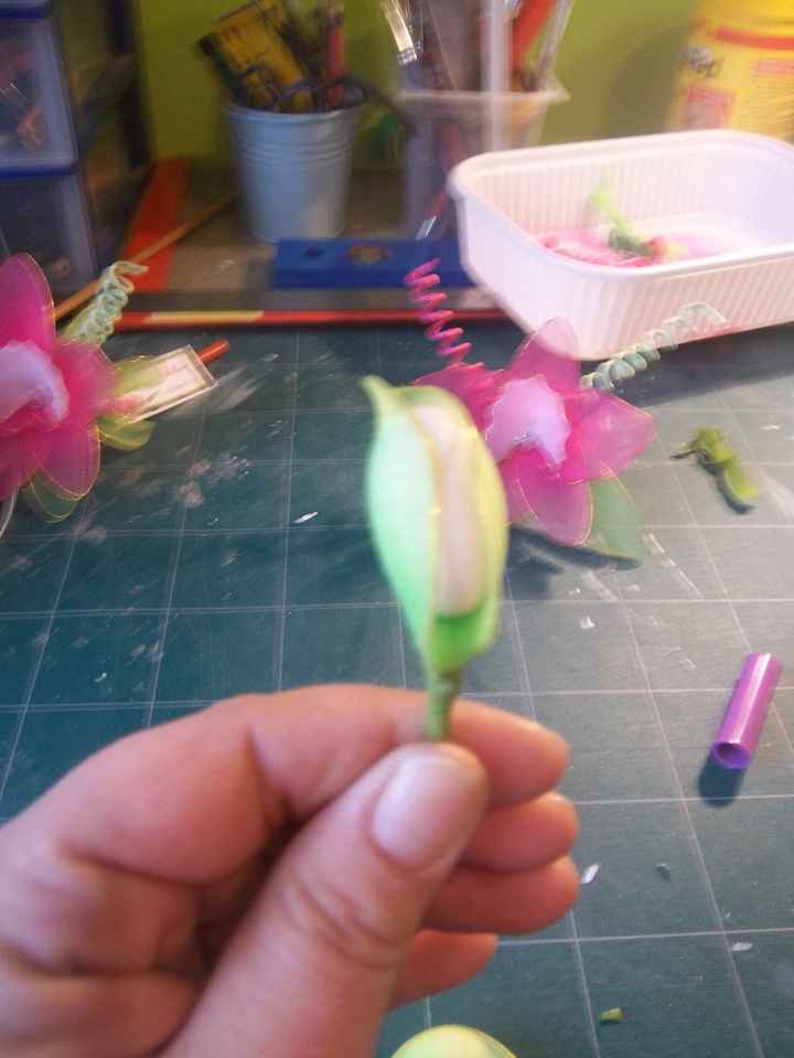 orchidee collant