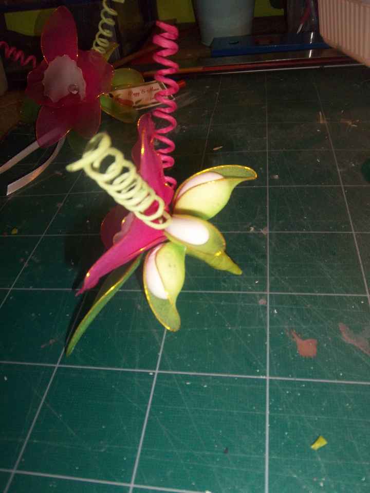 orchidee collant