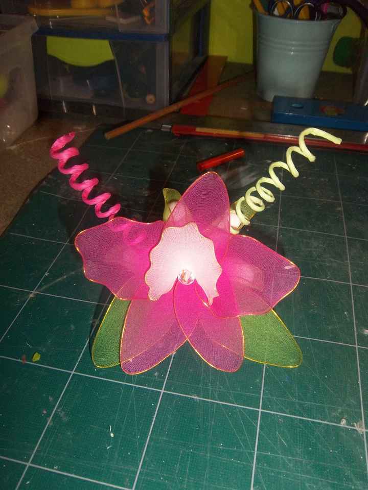 orchidee collant