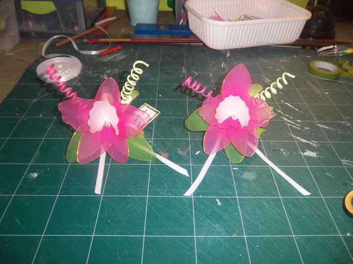 orchidee collant