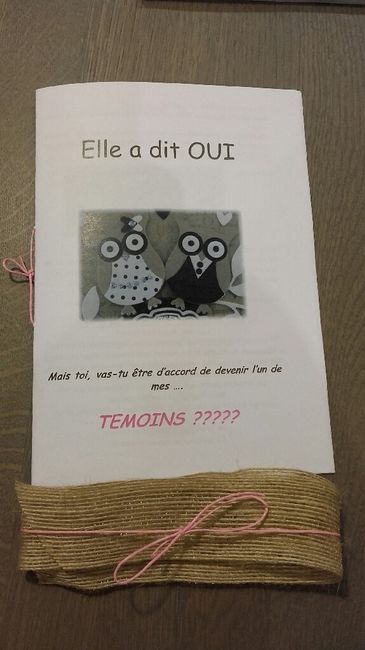 Kit témoins presque finis  !!!!! - 3