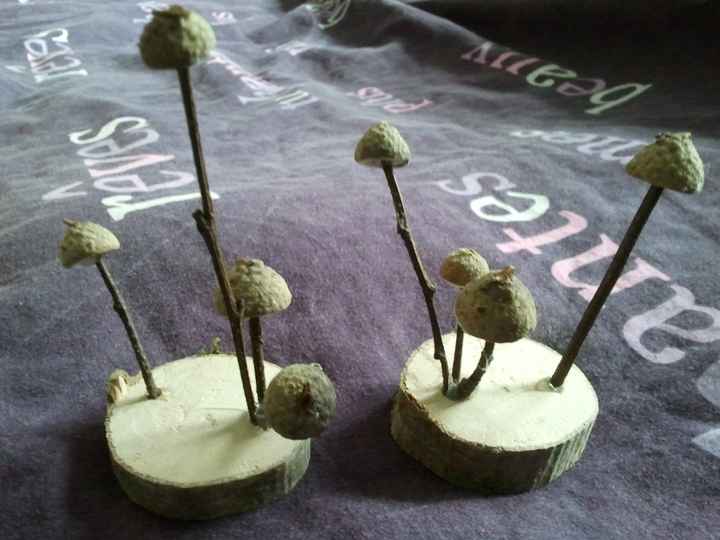 champignons fait par moi même