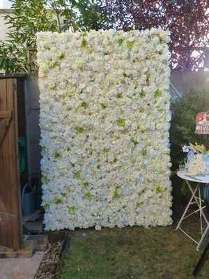 murs de fleurs