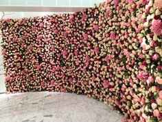 mur de fleurs