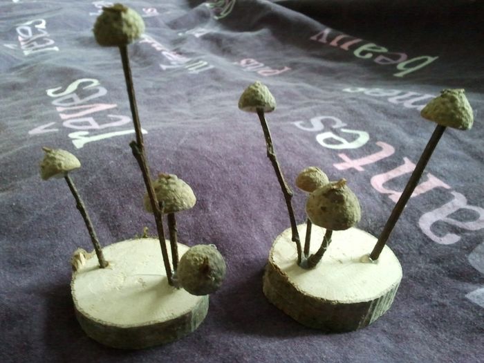 champignons fait par moi même