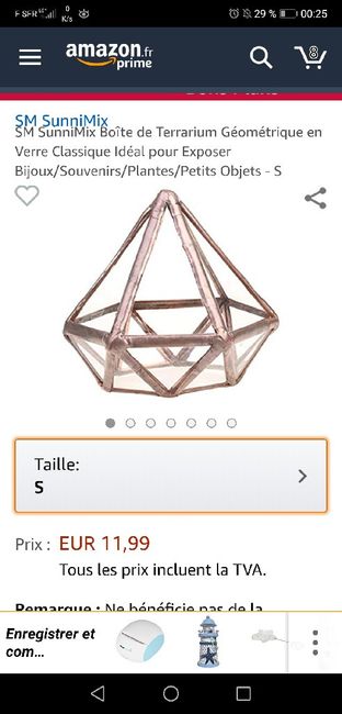 Terrarium géométrique - 1