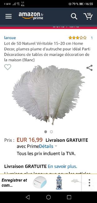 Plumes d'autruche - 1