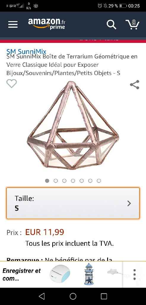 Terrarium géométrique - 1