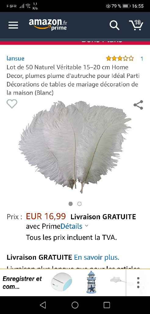 Plumes d'autruche - 1