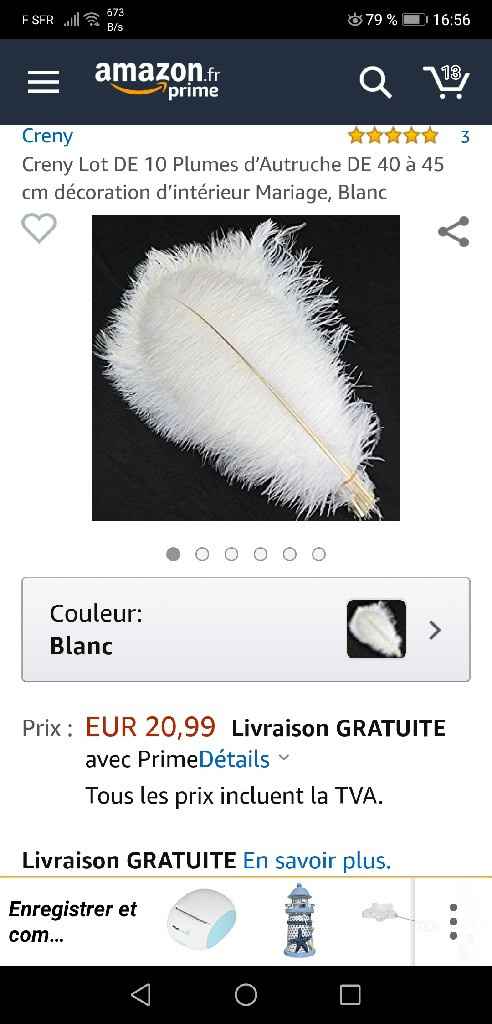 Plumes d'autruche - 2