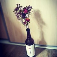 Fleurs séchées - 3