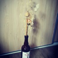 Fleurs séchées - 5