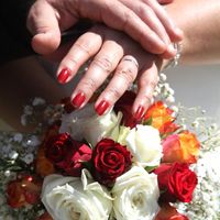 Le gypsophile dans tous ces états. .. - 1