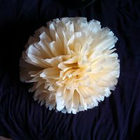 Déco salle - Pompoms