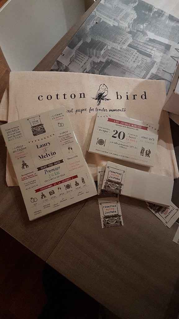 Avis Cotton Bird - 1