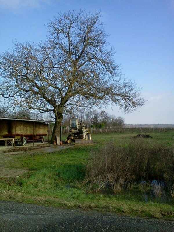 lieu de célébration