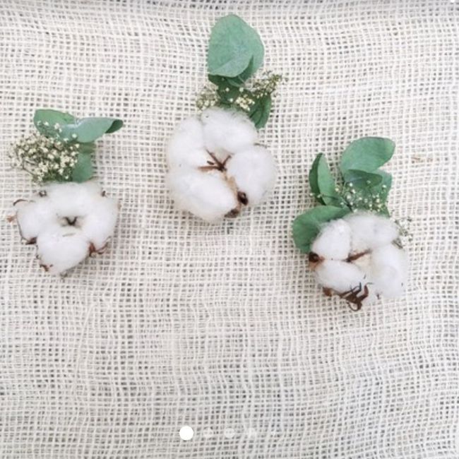 Cette boutonnière ! 1