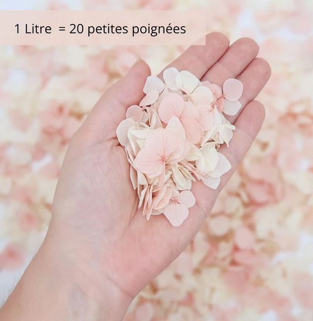 Contenants pour pétales enfin trouvés ! 2