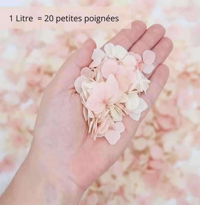 Contenants pour pétales enfin trouvés ! - 1