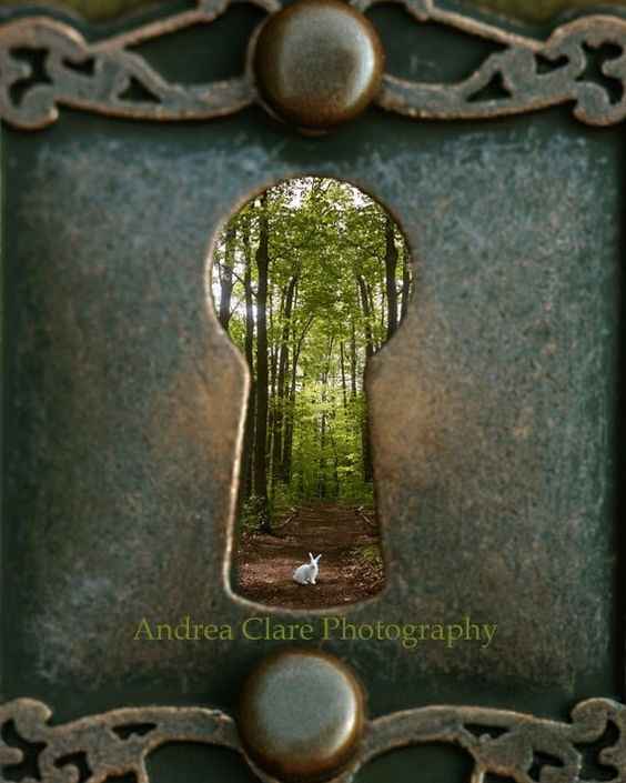 Alice in wonderland :)