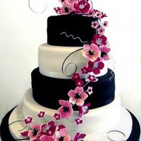 Wedding Cake coloré