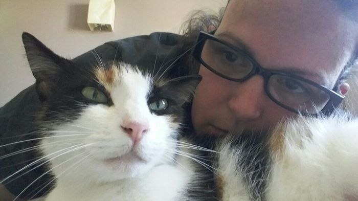 Montrez moi vos animaux ! - 3