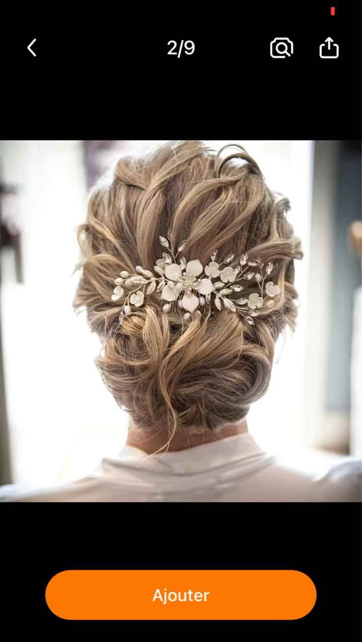 Cherche peigne cheveux - 1