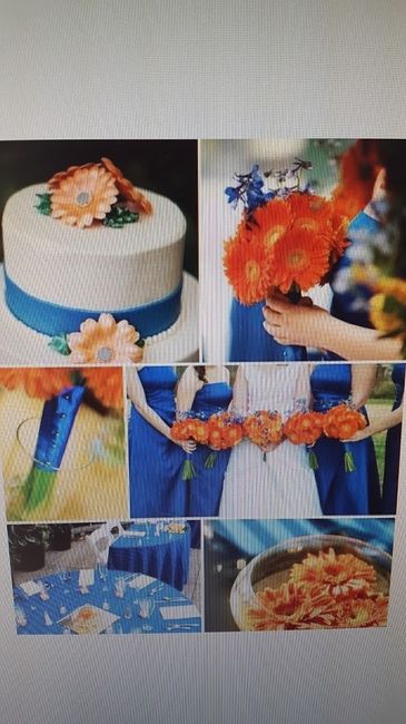 Couleur Bleu roi / Orange
