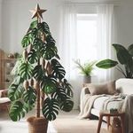 Monstera