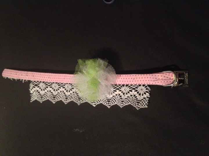 Le collier de ma chienne en détails lol