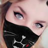 Noé