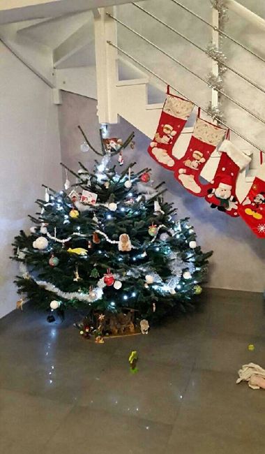 A vos sapins !!! - 1