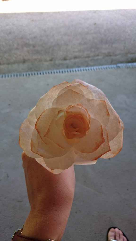 Fleur filtre à café! - 1