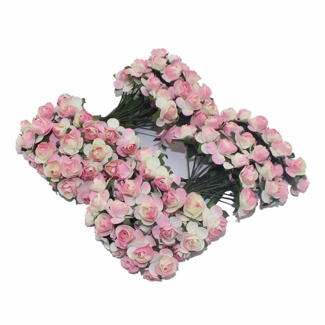 fleurs rose et blanche