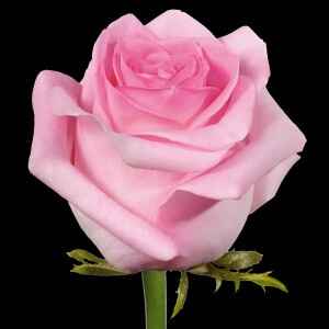 Je n'ai jamais trouvé un prestataire aussi vite ! - 2