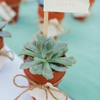 Pas de dragées... - 1