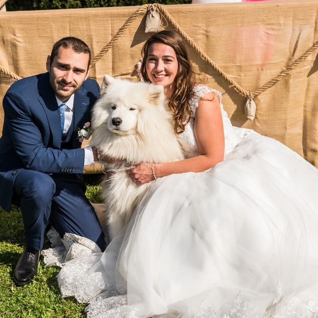 Ton animal de compagnie, présent le jour J ? 8