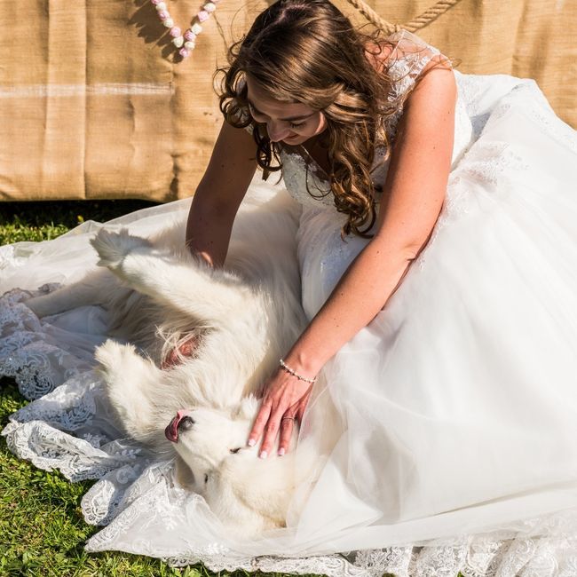 Ton animal de compagnie, présent le jour J ? 9