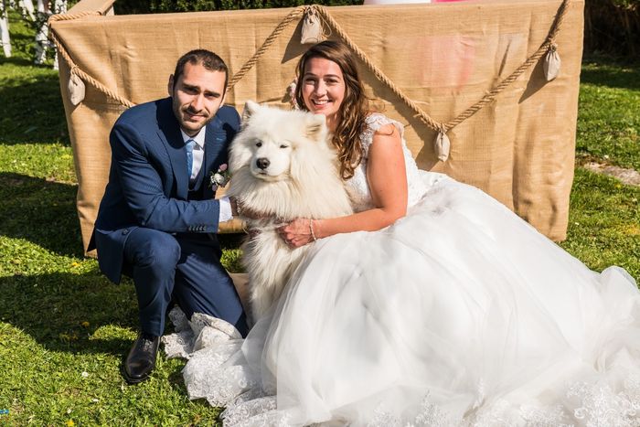 Séance photo avec vos animaux ? - 1